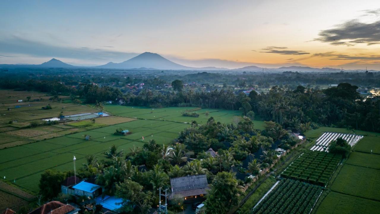 Arya Villas Ubud Exterior foto